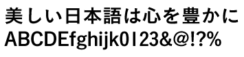 こぶりなゴシック W6