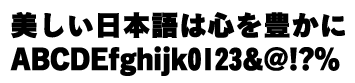 こぶりなゴシック W9